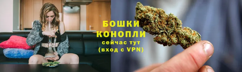 Шишки марихуана OG Kush  Абаза 